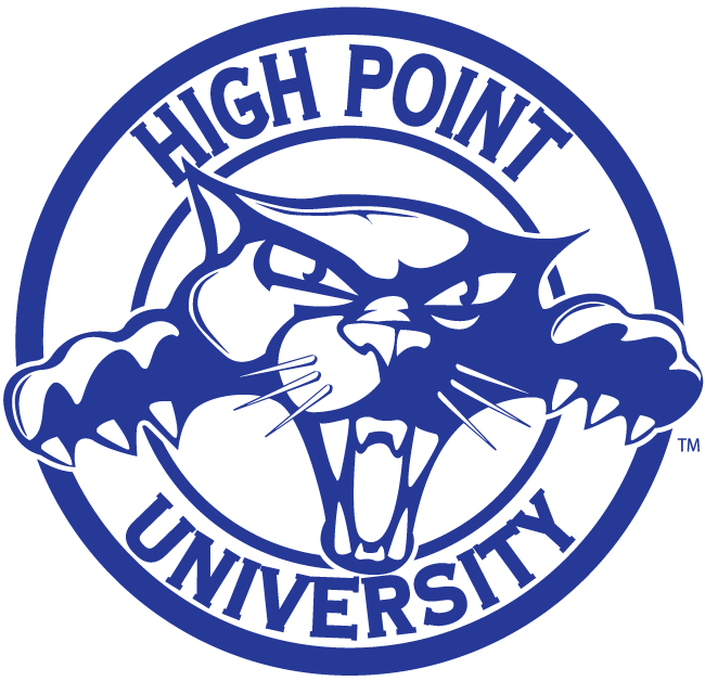 High Point Panthers 2004-2011 Alternate Logo DIY iron on transfer (heat transfer)